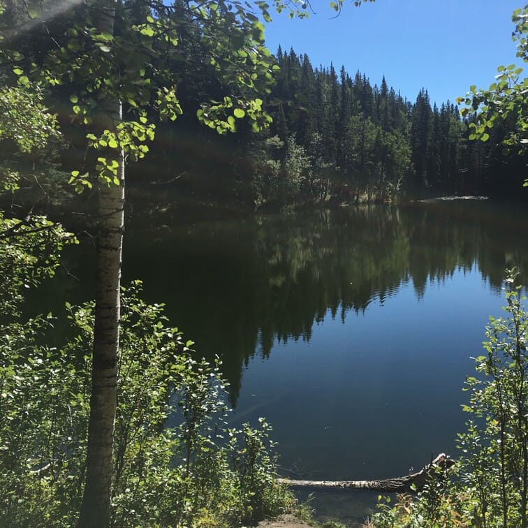 picture of Champion Lakes Alberta