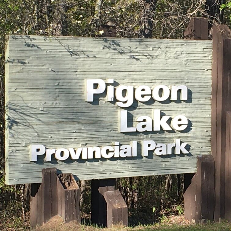 pigeon lake