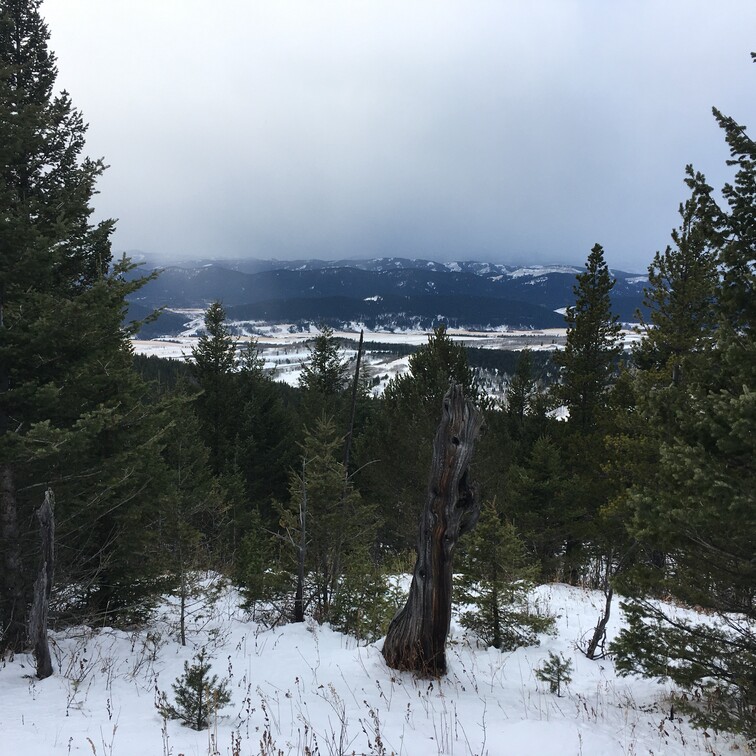 rangetop view from porcupine hills